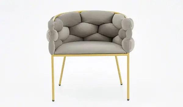 Stylish Lounge Chair