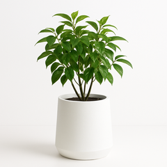 White Textured Planter Pot