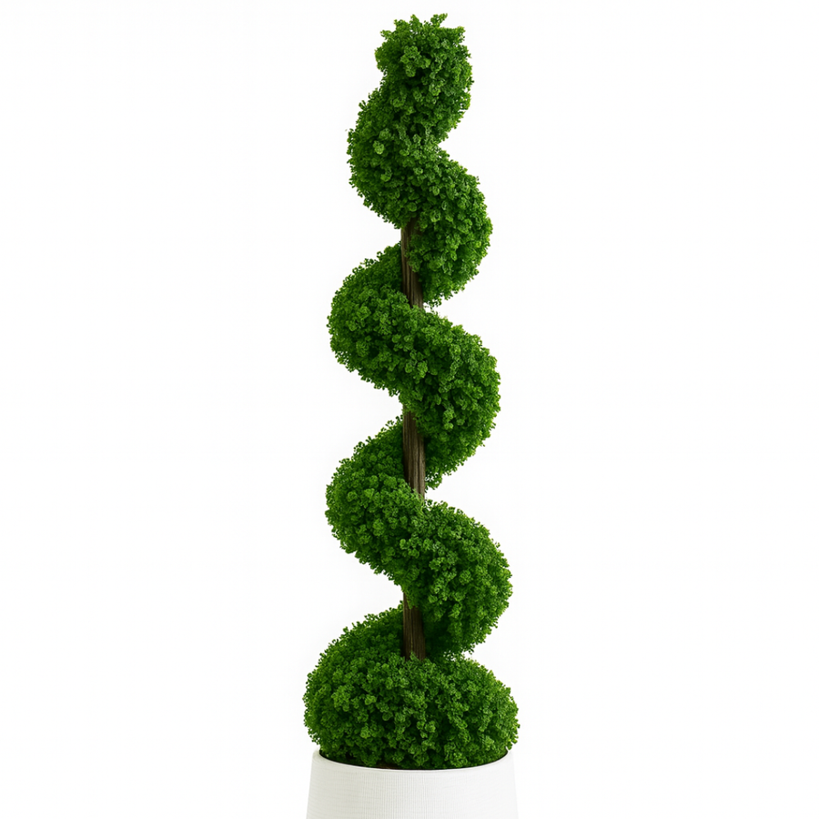 No Watering, No Pruning, No Fertilizing