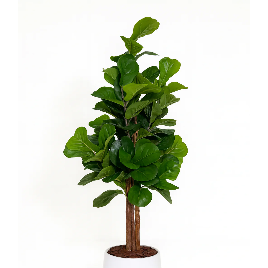 Artificial Fiddle Leaf Fig