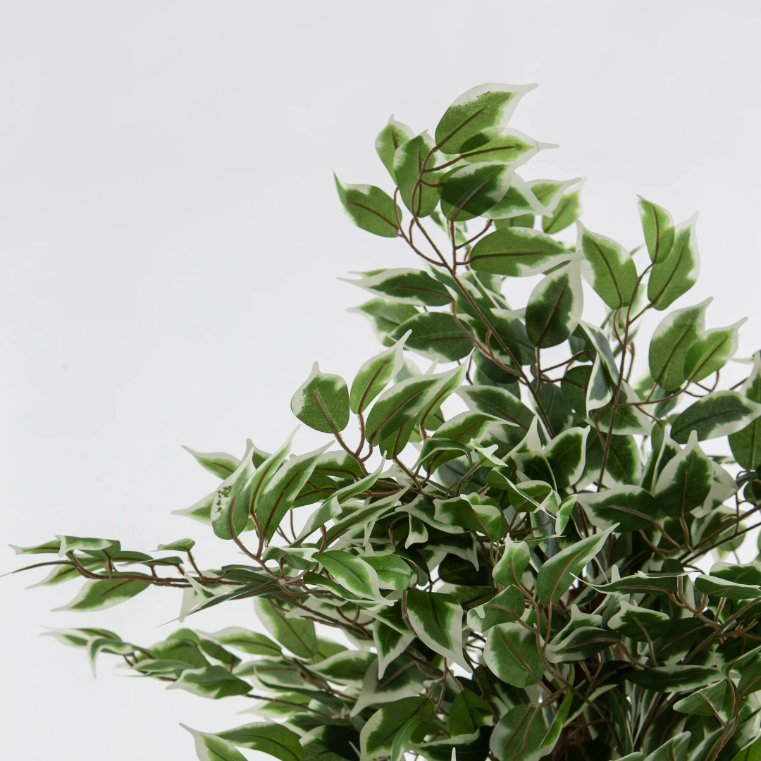 Artificial Ficus Tree