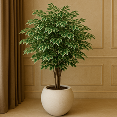 Artificial Ficus Tree