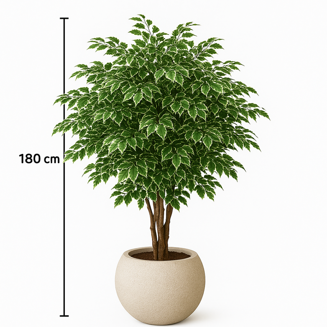 Artificial Ficus Tree