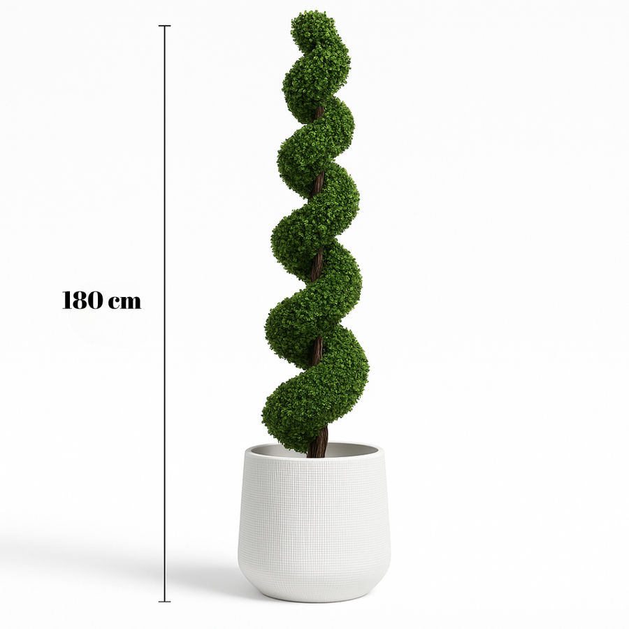 A Bold Statement for Any Setting