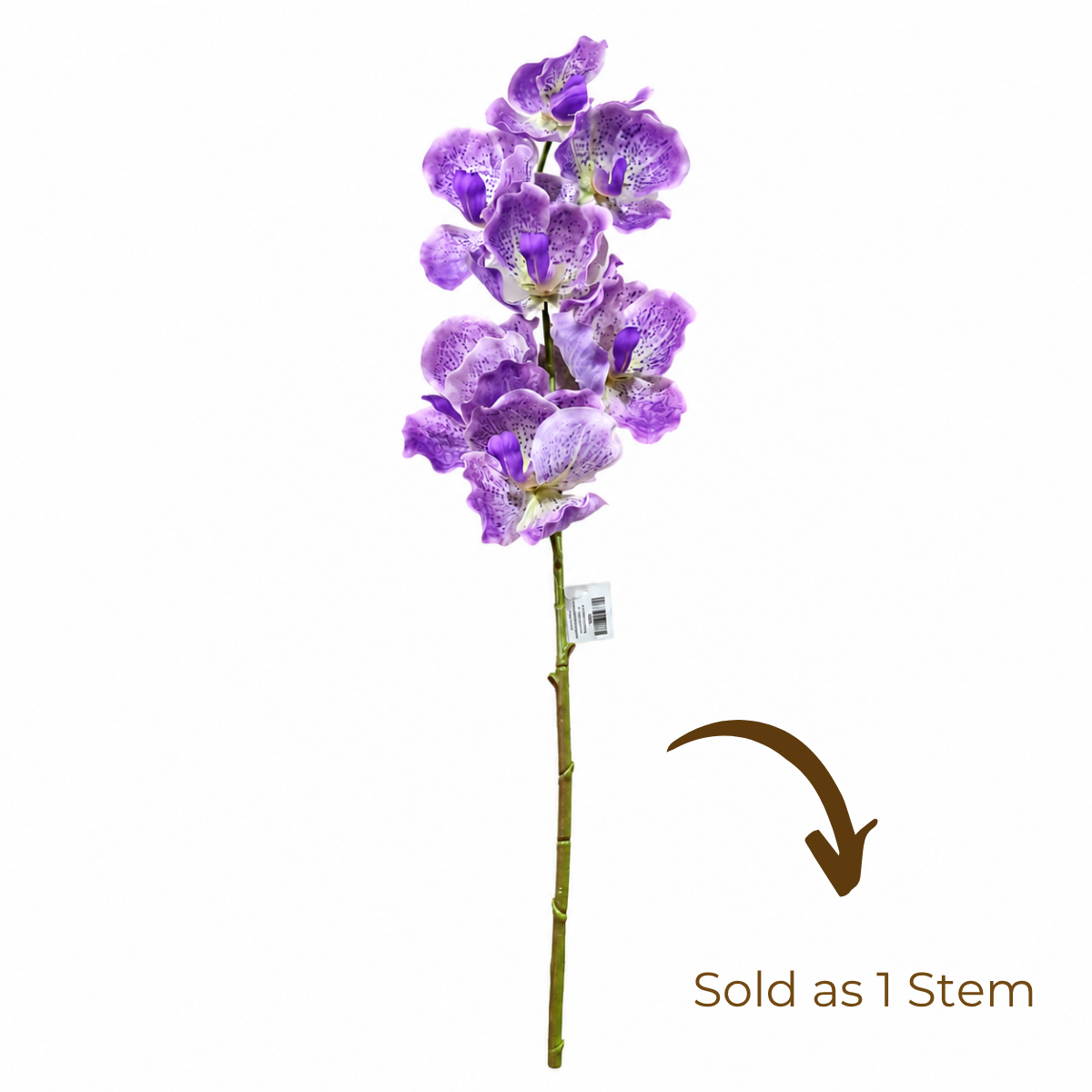 Wooden Twist Artificial Vanda Orchid Flower Stem, 80cm Faux Silk Orchid Spray for Home & Office Decor