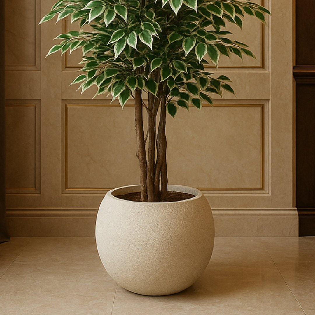 Pots & Planters