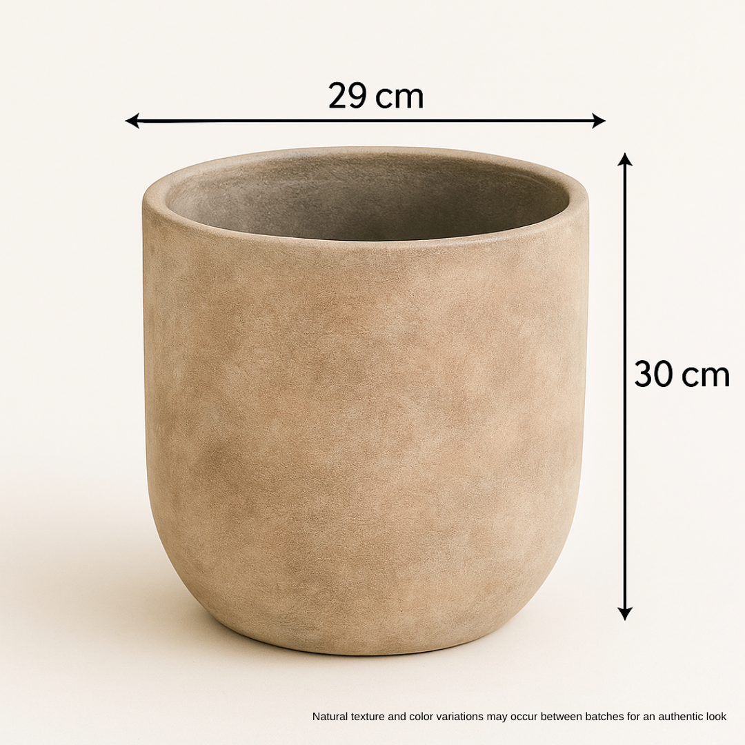 Pots & Planters