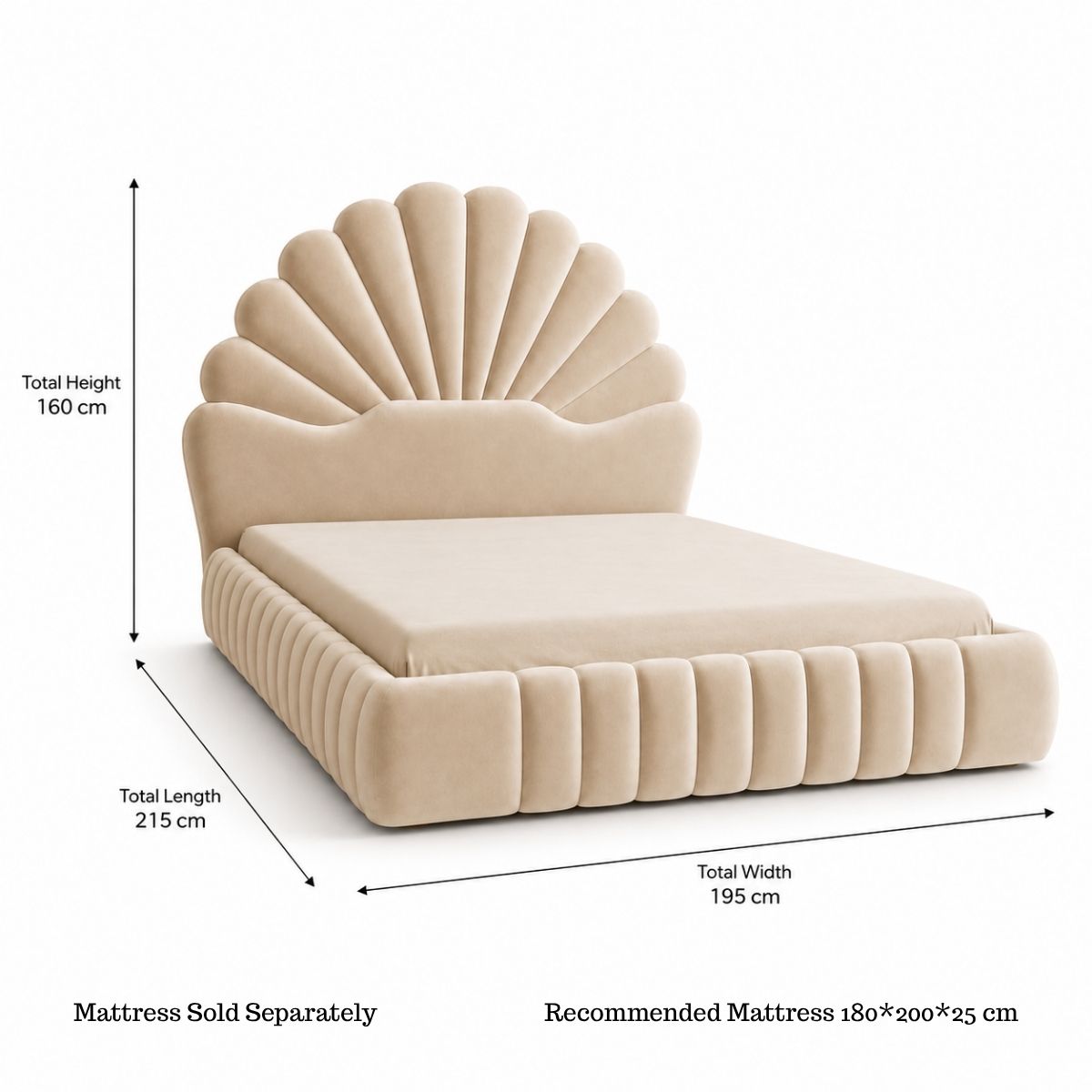 Amara Shell Luxe Beige Velvet Upholstered Bed