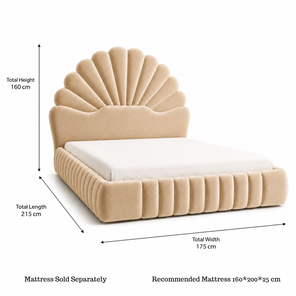 Amara Shell Luxe Beige Velvet Upholstered Bed