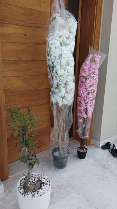 Recent Wooden Twist delivery