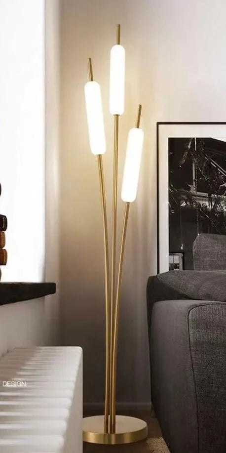 Adjustable LED Illumination