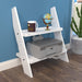 Leaning Bookcase Ladder and Room Organizer - Wooden Twist UAE
