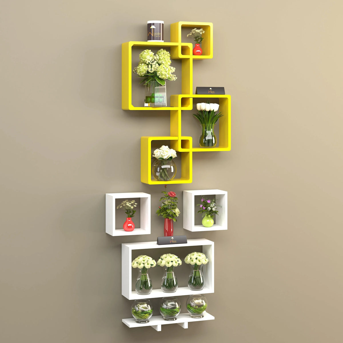 A Designer Wall of Intersecting Shelves