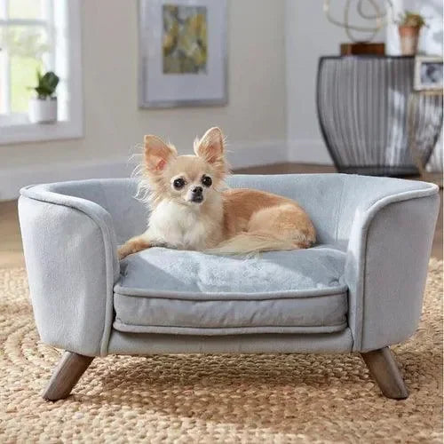 A Cozy Corner for Pets and Little Ones