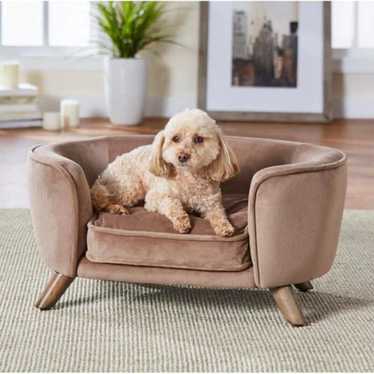 A Cozy Corner for Pets and Little Ones