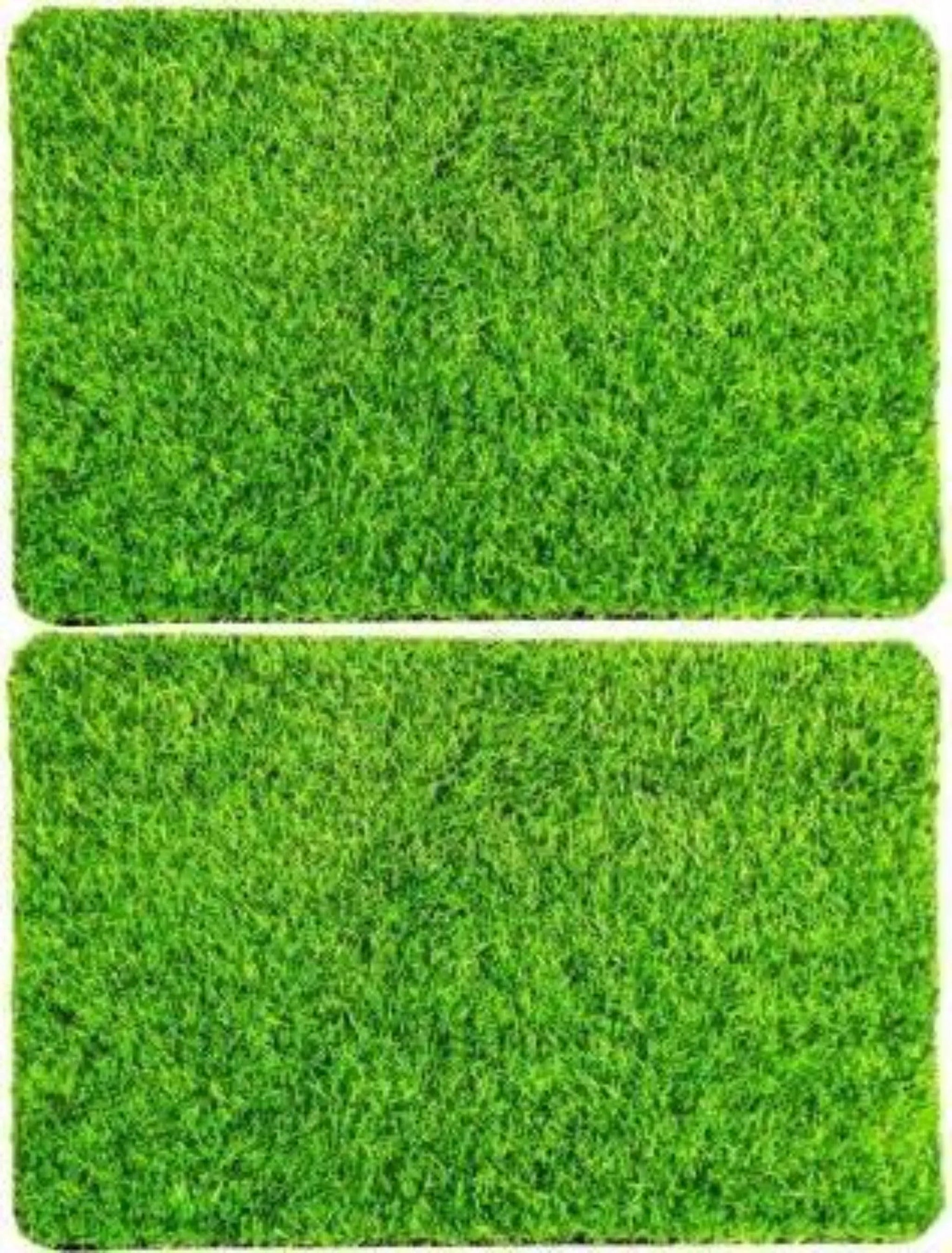 Anti Skid Natural Green Grass Doormat (Set of 2) - Wooden Twist UAE