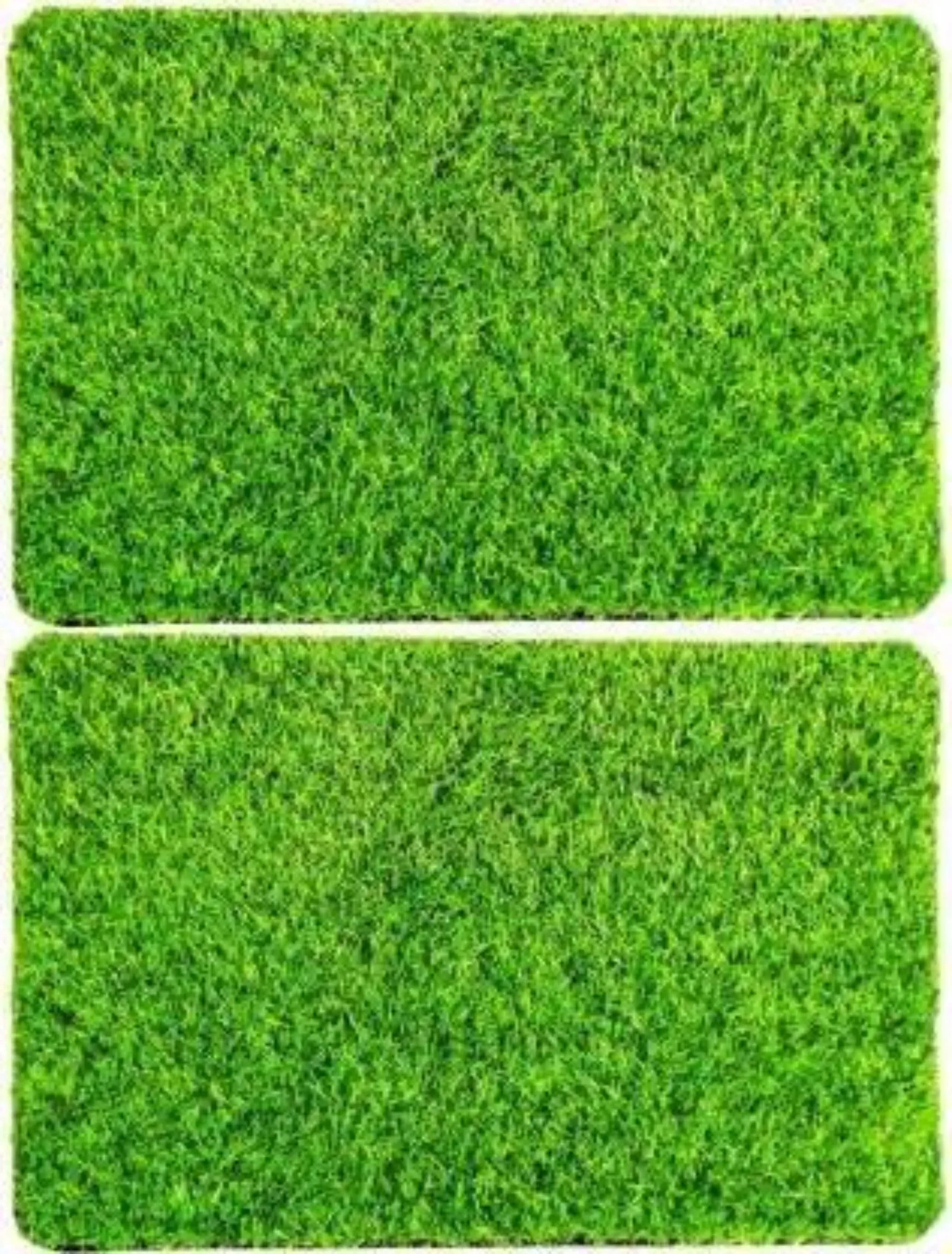 Anti Skid Natural Green Grass Doormat (Set of 2) - Wooden Twist UAE