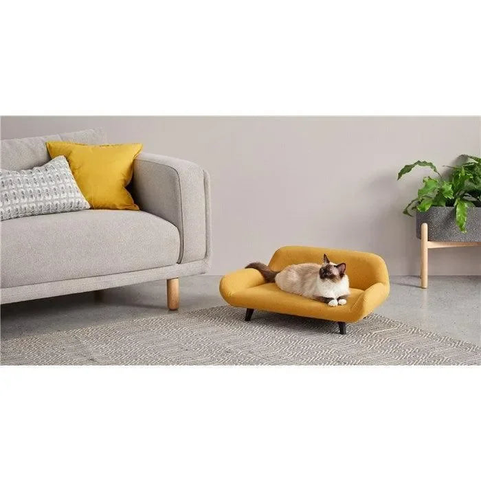 A Little Sofa Made Just for Your Pet